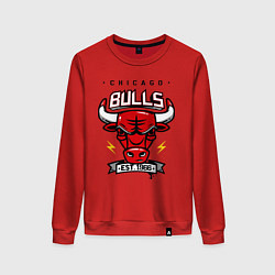 Женский свитшот Chicago Bulls est. 1966