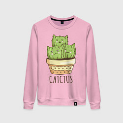 Женский свитшот Catctus