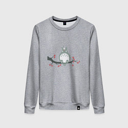 Свитшот хлопковый женский Тоторо, цвет: меланж