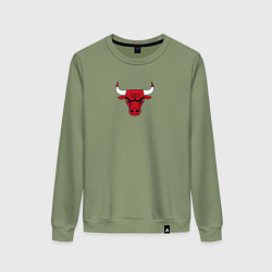 Женский свитшот CHICAGO BULLS