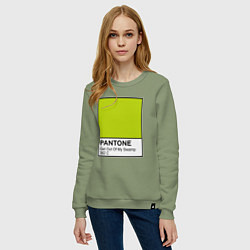 Свитшот хлопковый женский Shrek: Pantone Color, цвет: авокадо — фото 2