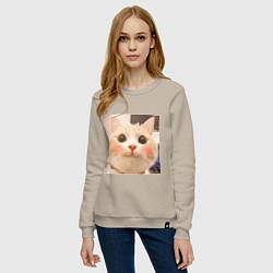 Свитшот хлопковый женский Мем про котов, цвет: миндальный — фото 2