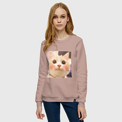 Свитшот хлопковый женский Мем про котов, цвет: пыльно-розовый — фото 2