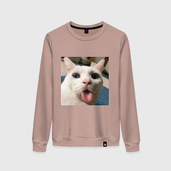 Свитшот хлопковый женский Мем про кота, цвет: пыльно-розовый