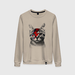 Свитшот хлопковый женский Серый кот с молнией, цвет: миндальный