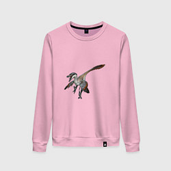 Свитшот хлопковый женский Ютараптор, цвет: светло-розовый