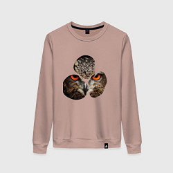 Свитшот хлопковый женский Owl puzzle, цвет: пыльно-розовый