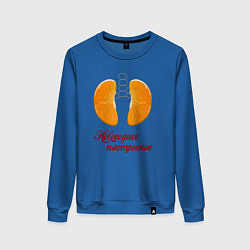 Свитшот хлопковый женский Настроение - новый год, цвет: синий