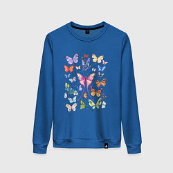 Свитшот хлопковый женский Волшебные бабочки акварелью, цвет: синий