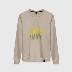 Женский свитшот Желтые полевые цветы