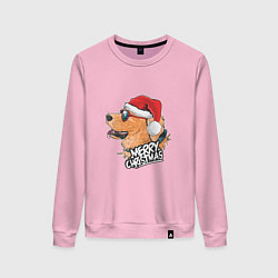 Женский свитшот Собачье Рождество