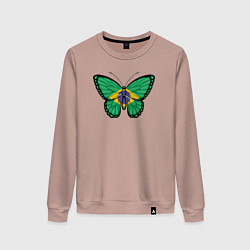 Женский свитшот Бразилия бабочка