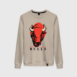 Женский свитшот Chicago bull
