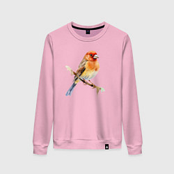 Свитшот хлопковый женский Оранжевая птица на ветке, цвет: светло-розовый