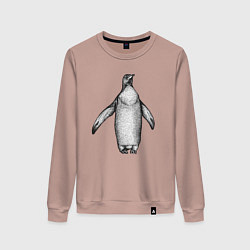 Женский свитшот Пингвин штрихами