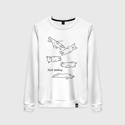 Свитшот хлопковый женский Not today спящие коты, цвет: белый