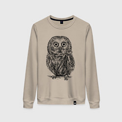 Свитшот хлопковый женский Сова гравюра, цвет: миндальный