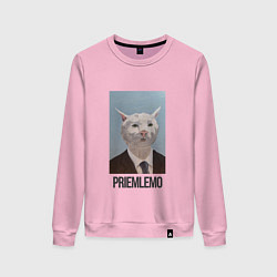 Женский свитшот Приемлемо - кот мем в живописи