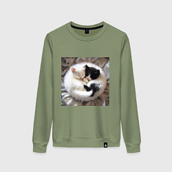 Свитшот хлопковый женский Два любящих котика обнимаются клубочком, цвет: авокадо