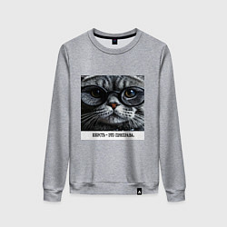 Свитшот хлопковый женский Мем кот в очках: шерсть это приправа, цвет: меланж