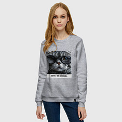 Свитшот хлопковый женский Мем кот в очках: шерсть это приправа, цвет: меланж — фото 2