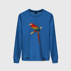 Свитшот хлопковый женский Попугай ara macaw, цвет: синий
