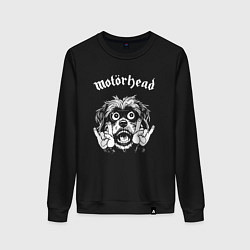 Женский свитшот Motorhead rock dog