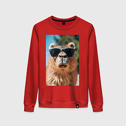 Свитшот хлопковый женский Модная капибара в очках, цвет: красный