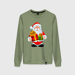 Женский свитшот Дед Мороз принёс подарки