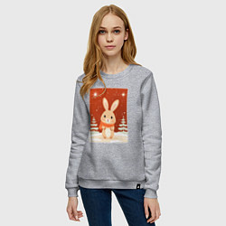 Свитшот хлопковый женский Снежный милый кролик, цвет: меланж — фото 2