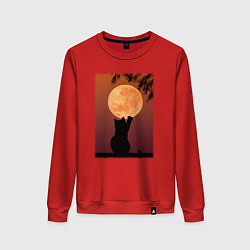 Женский свитшот Кот трогает луну