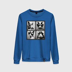 Свитшот хлопковый женский Кролик в фотобудке, цвет: синий