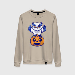 Свитшот хлопковый женский Halloween owl, цвет: миндальный