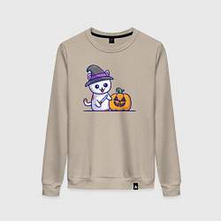Женский свитшот Cat pumpkin