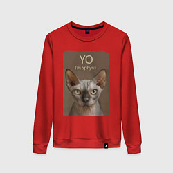 Свитшот хлопковый женский Yo - Im Sphynx, цвет: красный