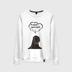 Женский свитшот Не люблю сухой корм кот кошка