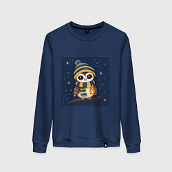 Свитшот хлопковый женский Сова в шапке и шарфе с фонарём, цвет: тёмно-синий