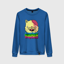 Женский свитшот Dropdead Kitty