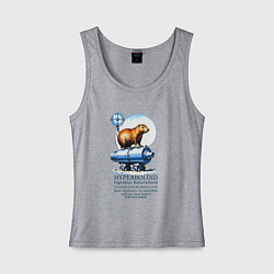 Майка женская хлопок Прикол по немецки - капибара и пушка, цвет: меланж