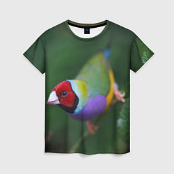 Футболка женская Яркая птичка попугай, цвет: 3D-принт