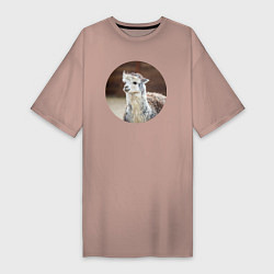 Футболка женская-платье Альпака, цвет: пыльно-розовый