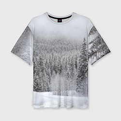 Женская футболка оверсайз Зимняя природа