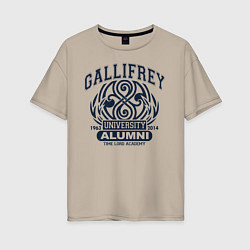 Футболка оверсайз женская Доктор Кто, Галлифрей, цвет: миндальный
