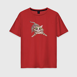 Футболка оверсайз женская Забавный удивленный кот, цвет: красный