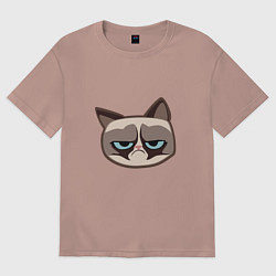 Футболка оверсайз женская Мем недовольный кот, цвет: пыльно-розовый
