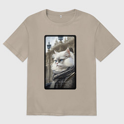 Футболка оверсайз женская Санкт-Петербург котик, цвет: миндальный