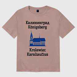 Футболка оверсайз женская Калининград, цвет: пыльно-розовый