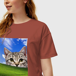 Футболка оверсайз женская Кот и безмятежность в Windows XP, цвет: кирпичный — фото 2