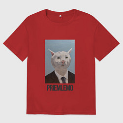 Футболка оверсайз женская Приемлемо - кот мем в живописи, цвет: красный