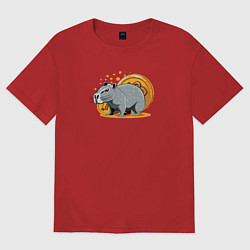 Футболка оверсайз женская Cryptobara, цвет: красный